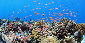 �ڶ�������Ǳˮ��Ӱ����